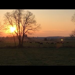 Meet your Posher, Tricia